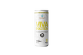 Viva Protein 350ml – Abacaxi com Hortelã